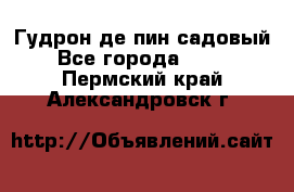 Гудрон де пин садовый - Все города  »    . Пермский край,Александровск г.